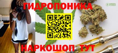 молекула духа Шахты