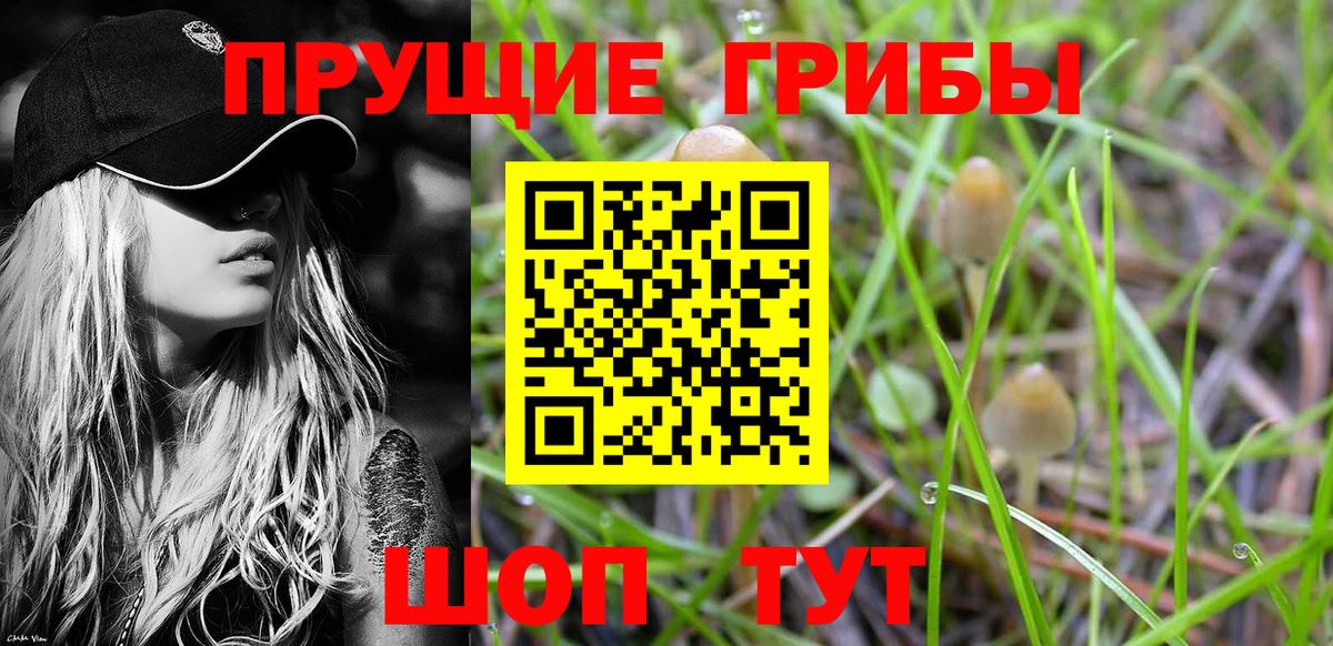 Галлюциногенные грибы Cubensis Бор