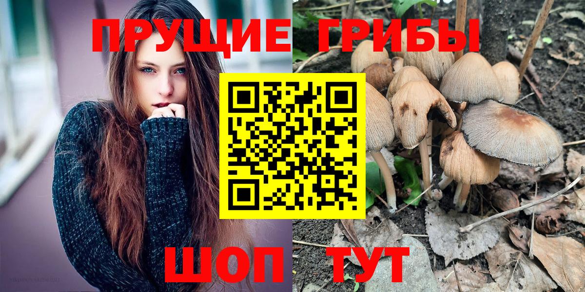 Бор  Псилоцибиновые грибы ЛСД  Вход с VPN 