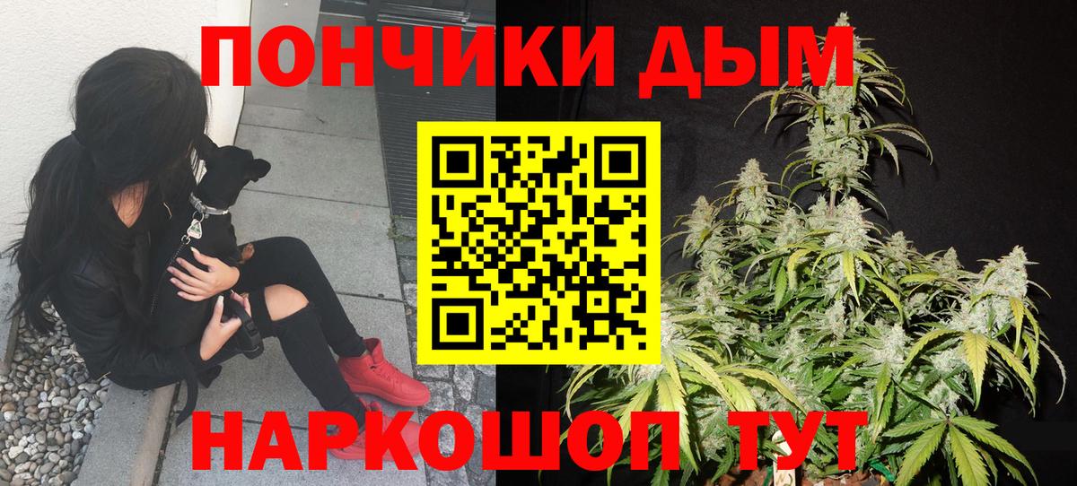 Конопля Bruce Banner  Каннабис семена  Вход с VPN  Бор  Марихуана THC 21% 